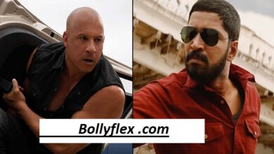 bollyflex .com