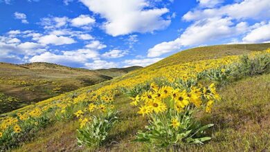 bluefire wilderness location