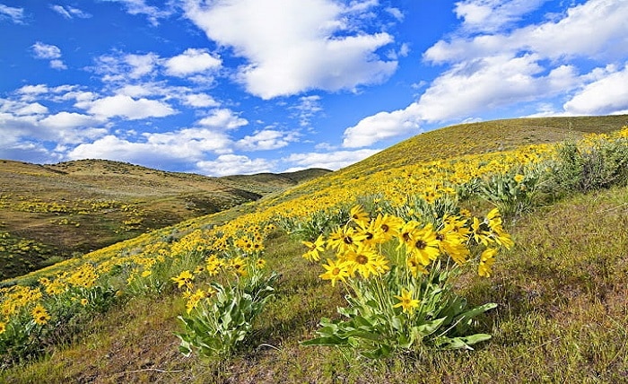 bluefire wilderness location