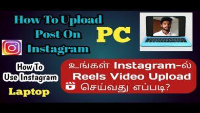 instagram story download snapinsta