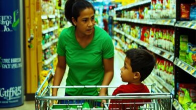 food basics flyer ottawa