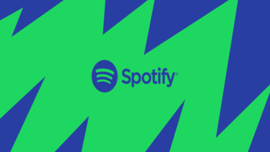 spotify apk indir