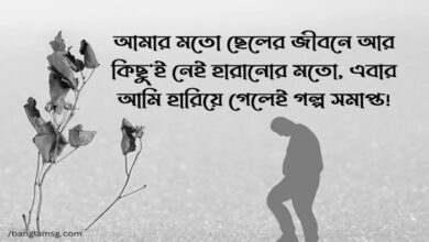 ফেসবুক স্ট্যাটাস