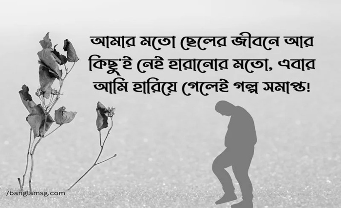 ফেসবুক স্ট্যাটাস